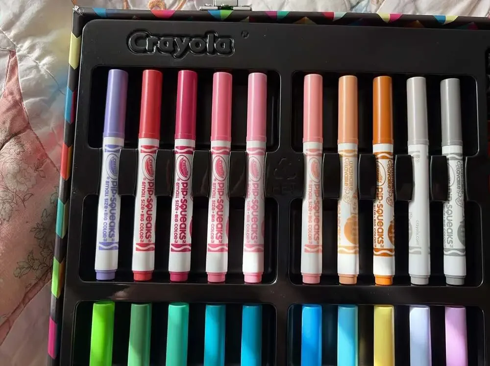 Crayola Chevron Pattern Art Case